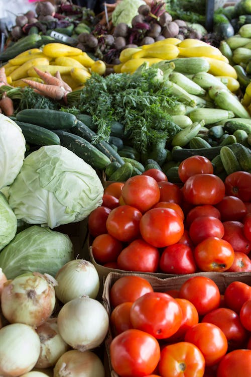 nutrition and diet
